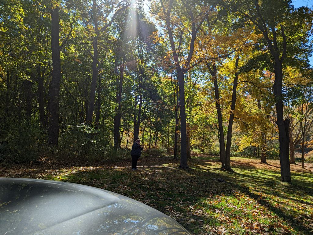 Daniel-Boone-Park