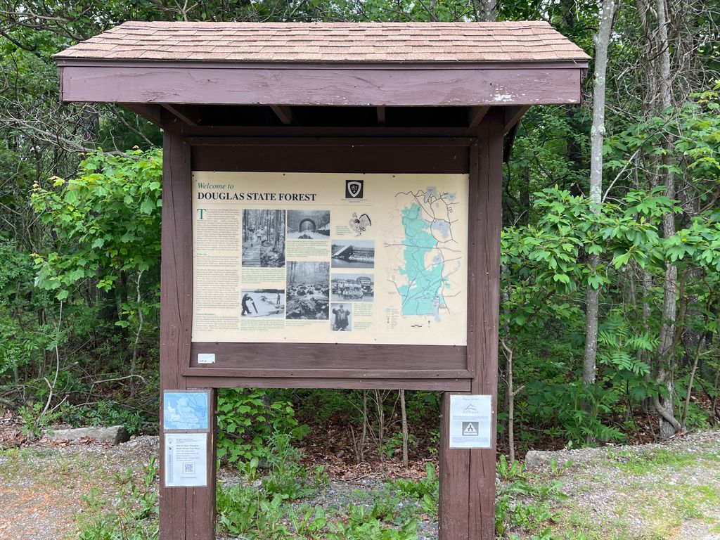 Douglas-State-Forest-Bill-Anesse-Trailhead