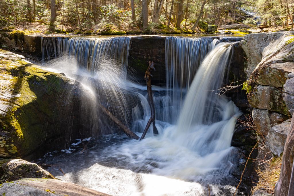 Enders-State-Forest