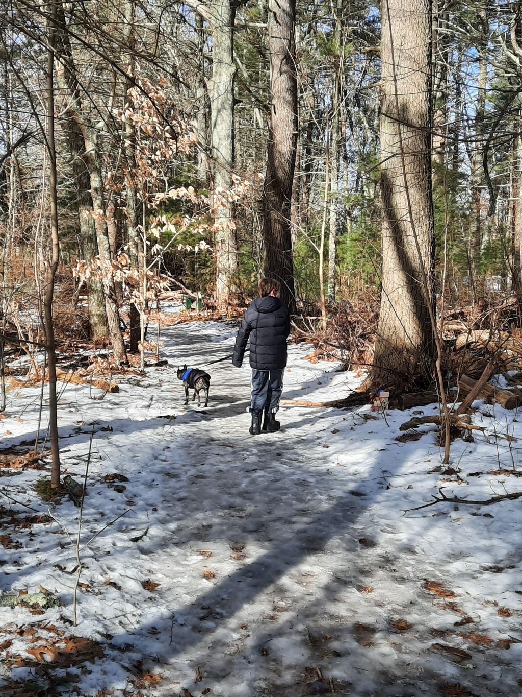 Friends-of-Boyden-Refuge