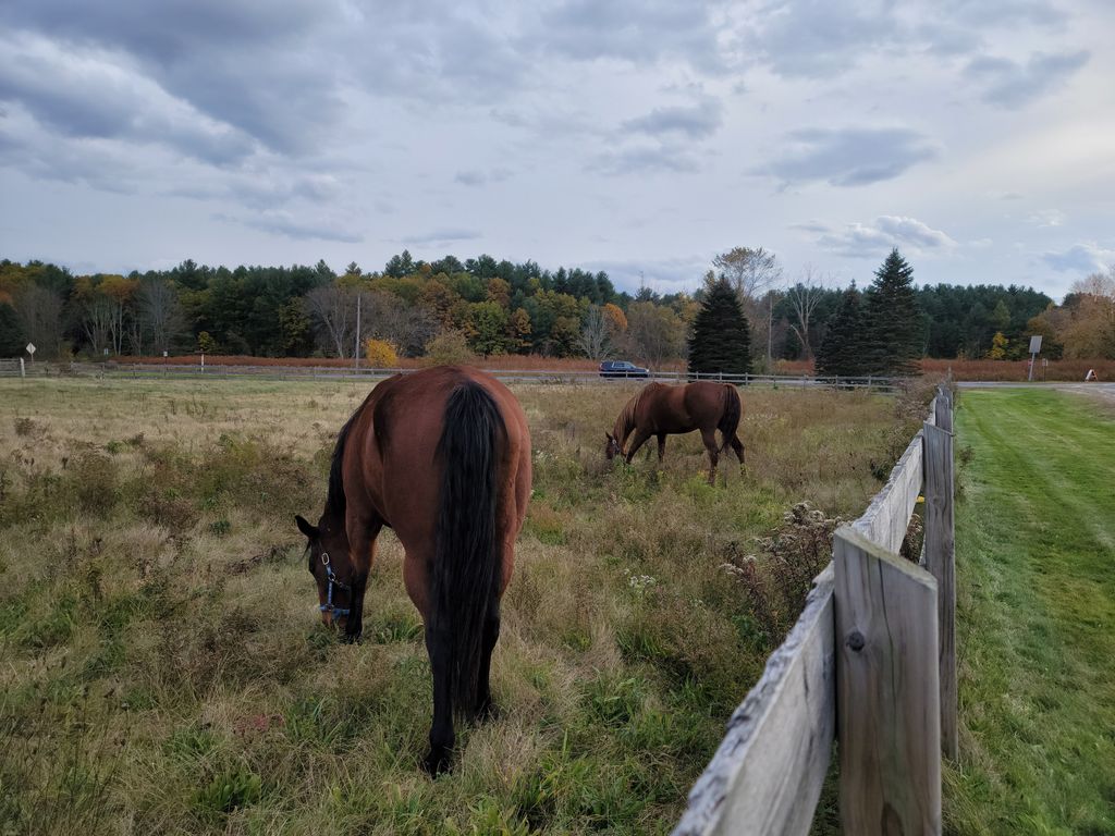 Eco-Adventures: 11 Groton's National Parks Diversity and Majesty ...