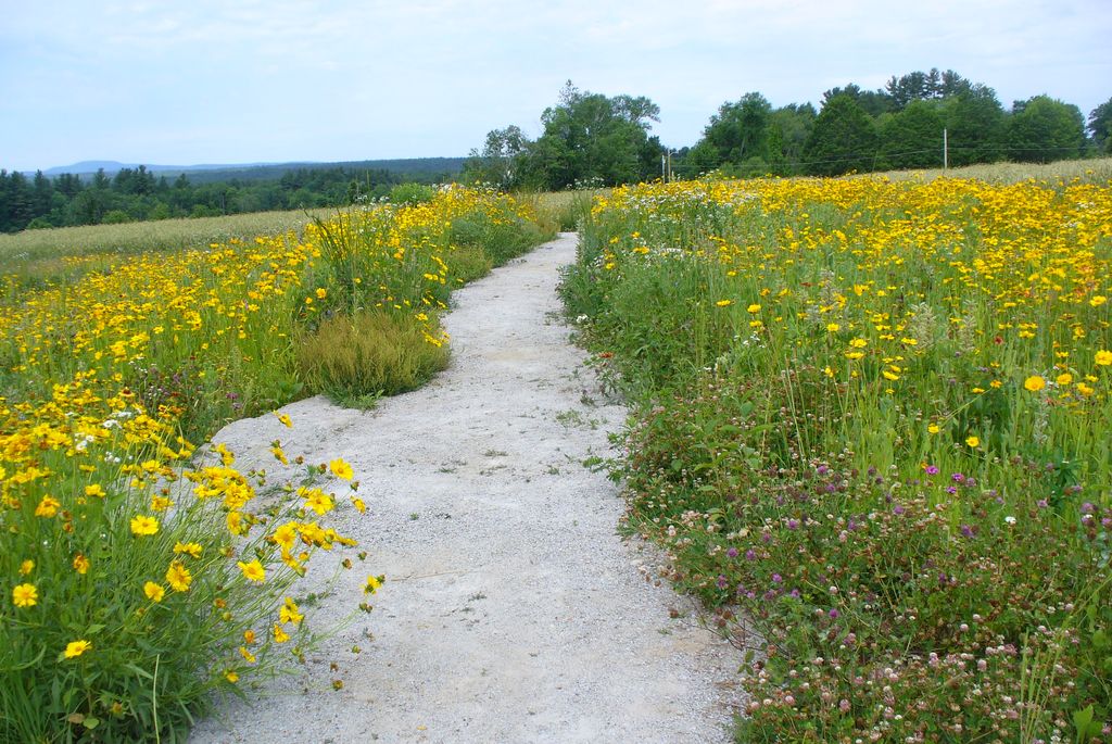 General-Field-Conservation-Area