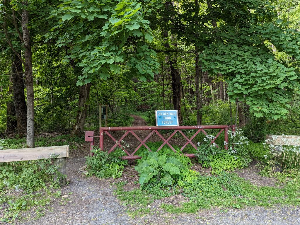 Golden-Hill-Town-Forest-Trailhead-1