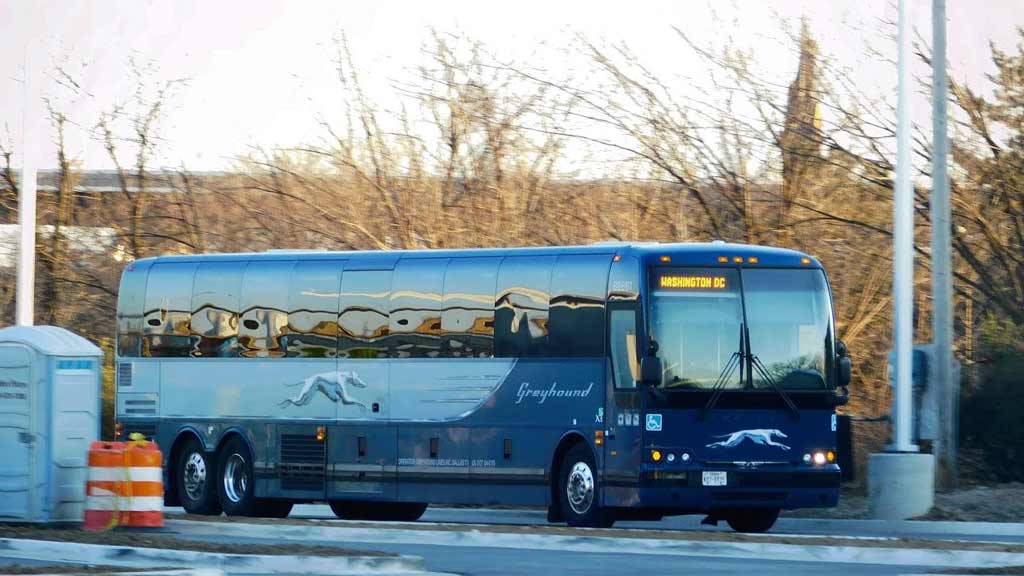 Greyhound Bus