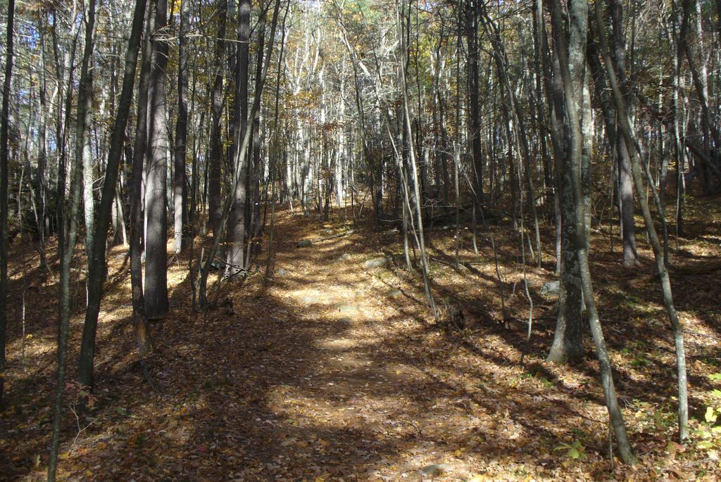 Groton-Conservation-Trust-Blackman-Field-and-Woods