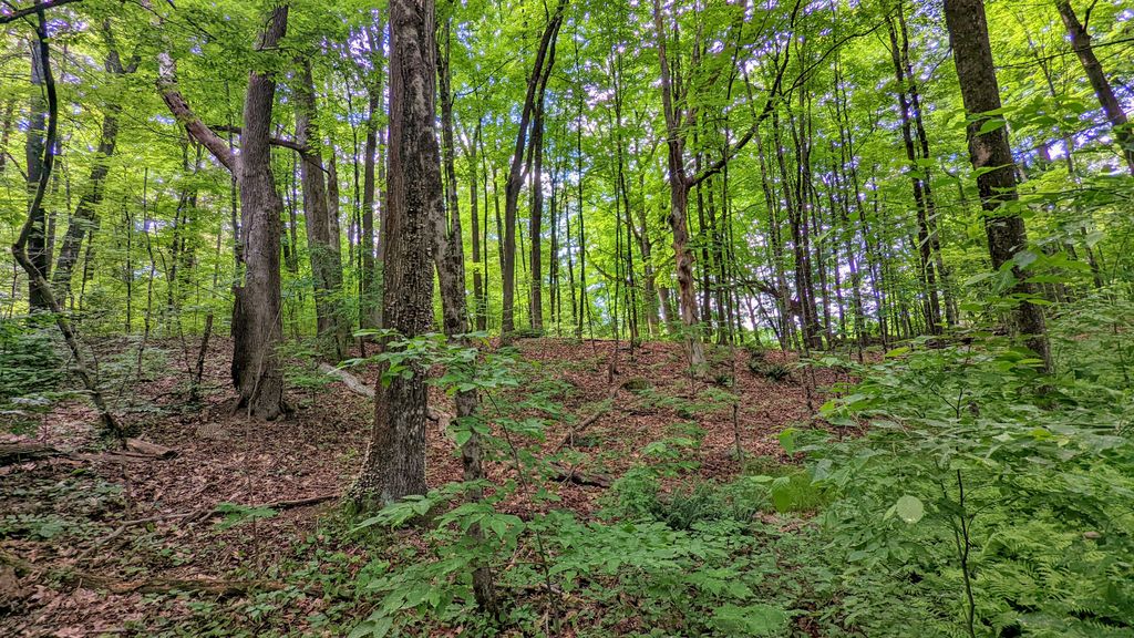 Gummere-Woods-And-Marsters-Preserve-Trail