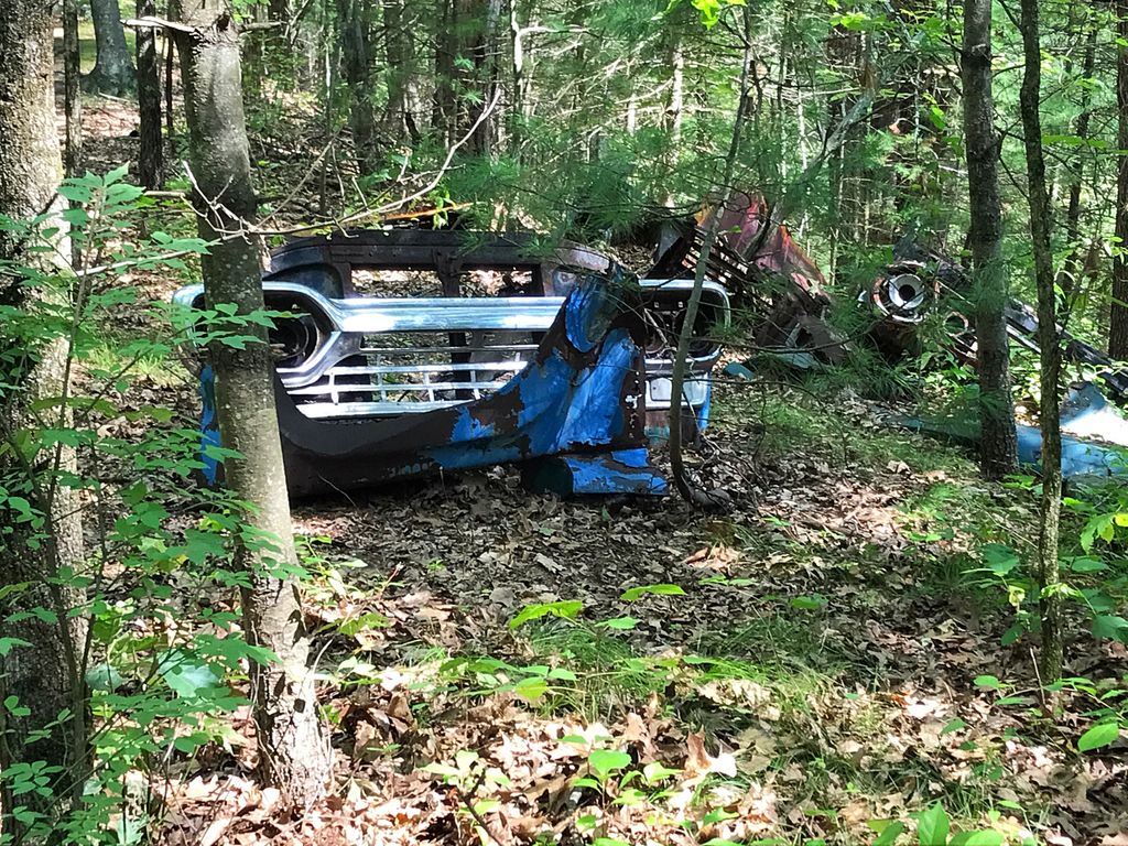 Hazels-Beaver-Point-Picnic-Table-1