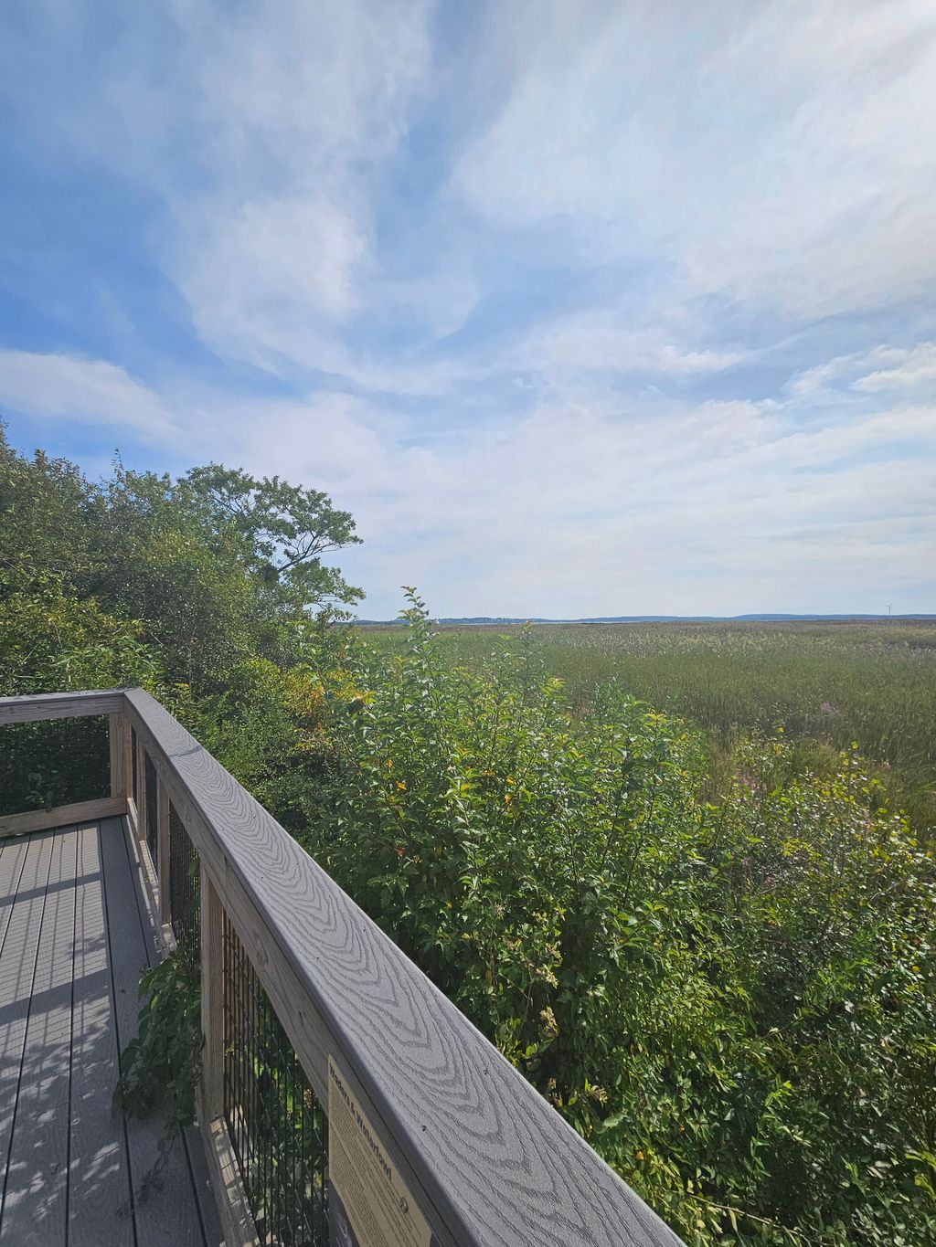 Hellcat-Boardwalk-Trail-1