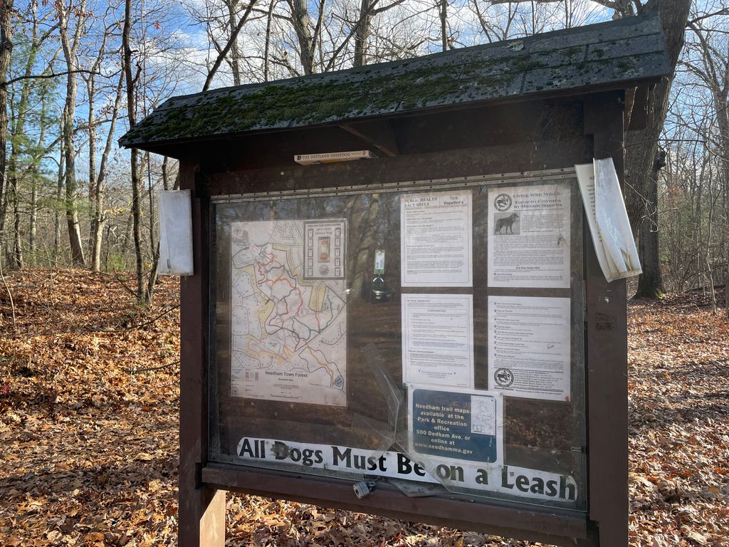 Horsford-Ponds-Parking-Area-Trailhead