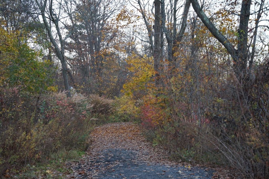 Kettle-Brook-Trailhead-2