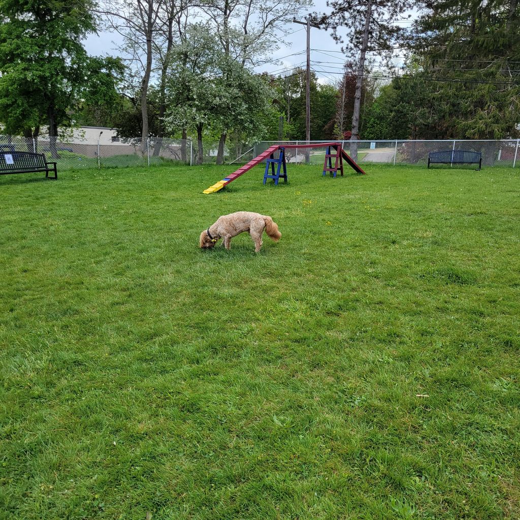 Leicester-Bark-Park