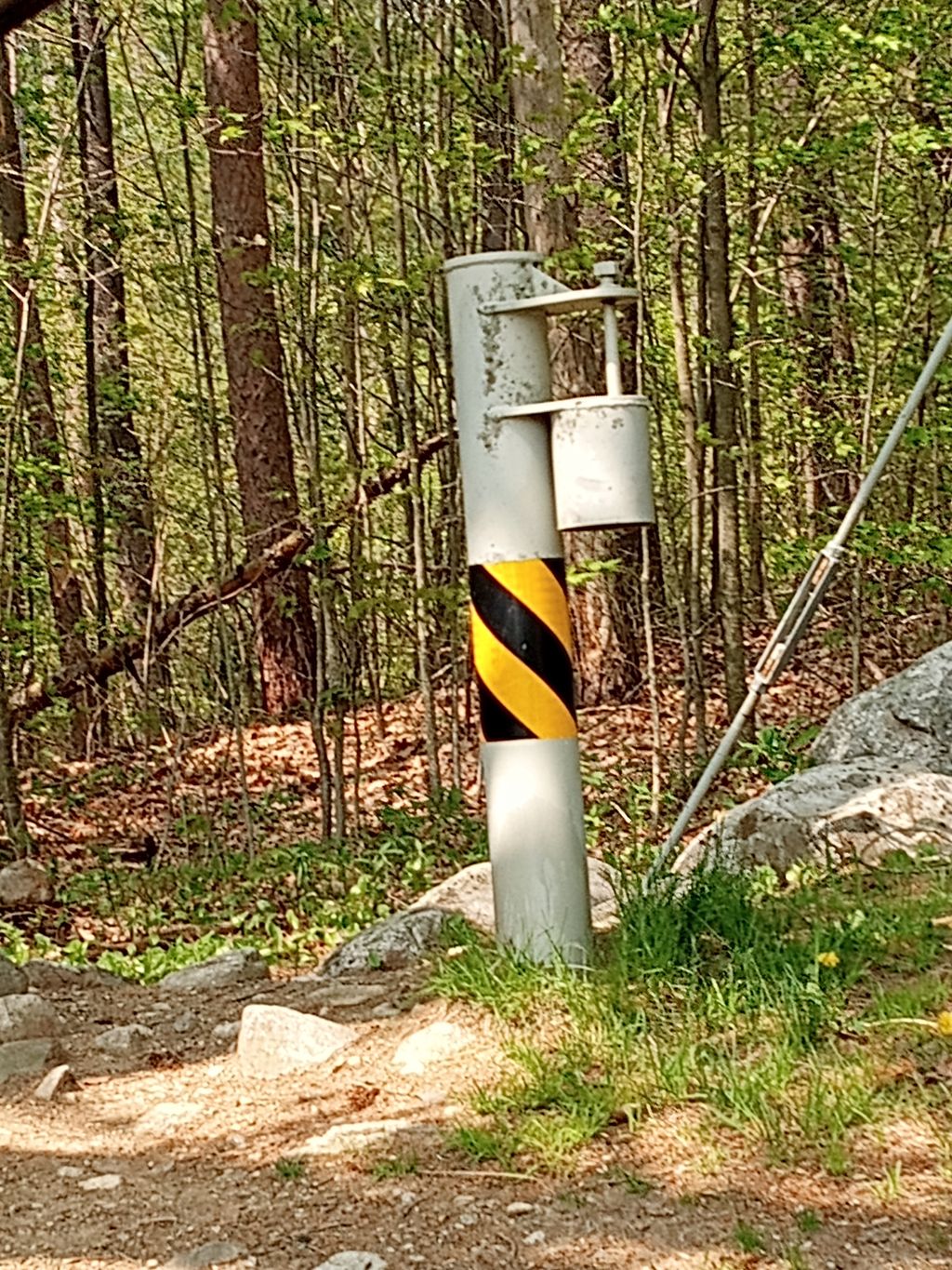 Leominster-State-Forest-Justice-Hill-trailhead