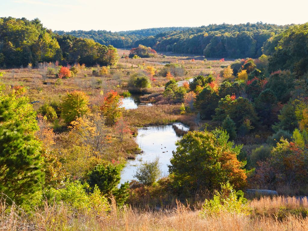 Mass-Audubon-Tidmarsh-Wildlife-Sanctuary-1