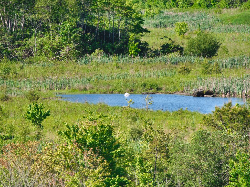 Mass-Audubon-Tidmarsh-Wildlife-Sanctuary-2