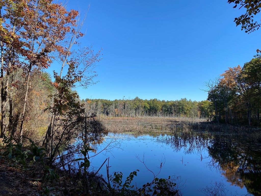 Medfield-Rail-Trail-1