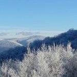 Discovering Nature's Canvas: Where Is The Peak Foliage In Massachusetts? 