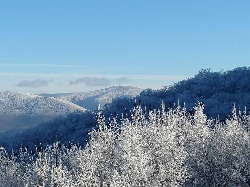 Discovering Nature's Canvas: Where Is The Peak Foliage In Massachusetts? 