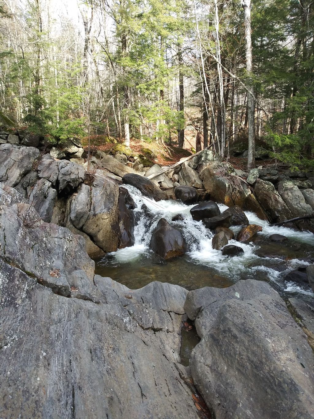 Monroe-State-Forest-Parking