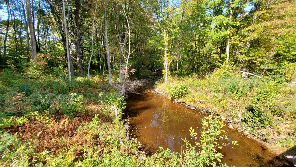 Moose-Hill-Wildlife-Management-Area-1