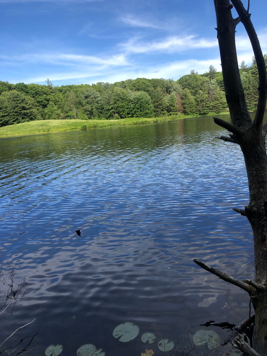 Moose-Hill-Wildlife-Management-Area