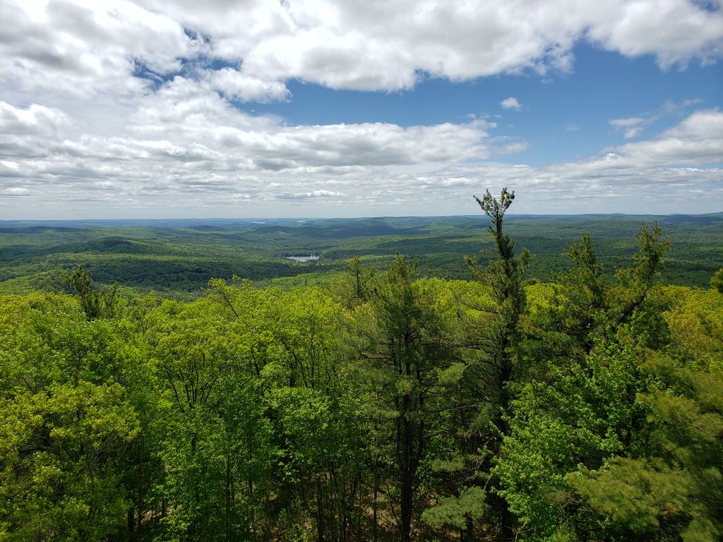 Mount-Grace-State-Forest