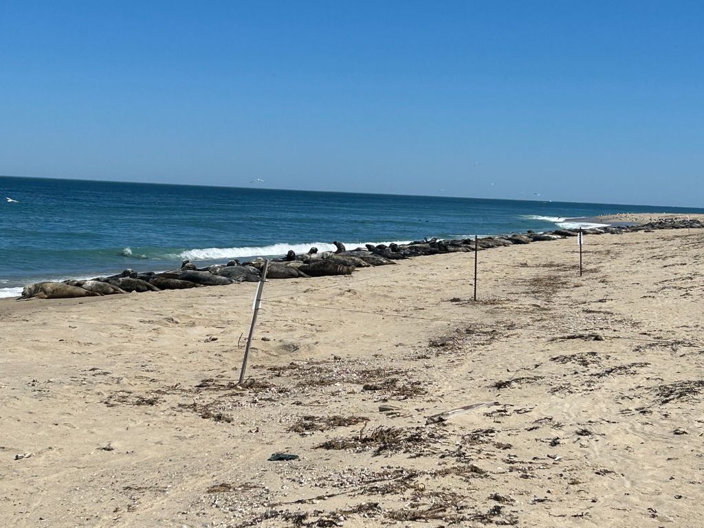 Nantucket-National-Wildlife-Refuge-2