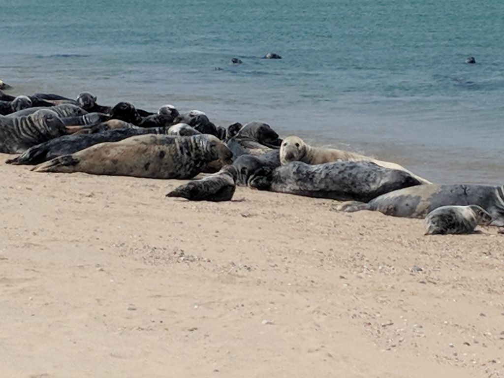 From Beaches to Forests: 8 National Parks to Explore in Nantucket ...