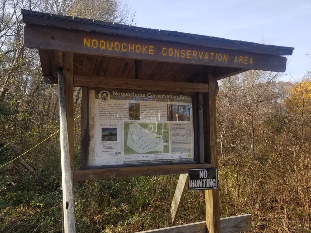 Noquochoke-Conservation-Area-1
