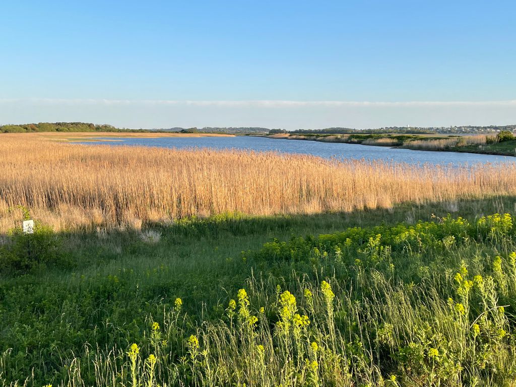 North-Pool-Overlook-Parker-River-National-Wildlife-Refuge