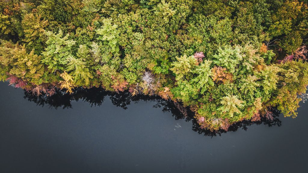 Paradise-Pond-Trail-Leominster-State-Forest