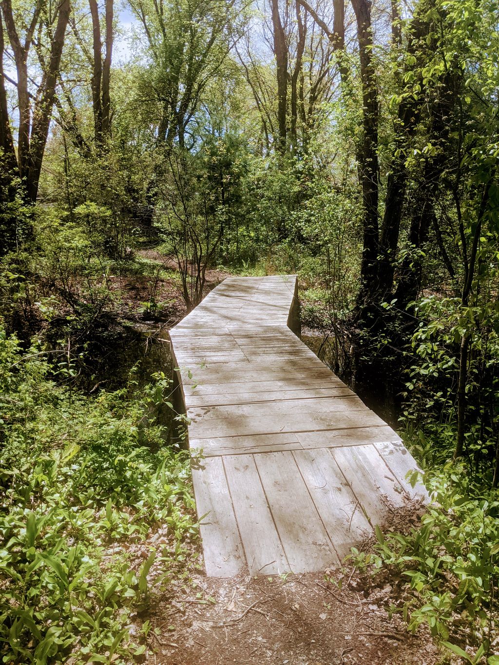 Peaceful-Flows-Rustic-A-frame