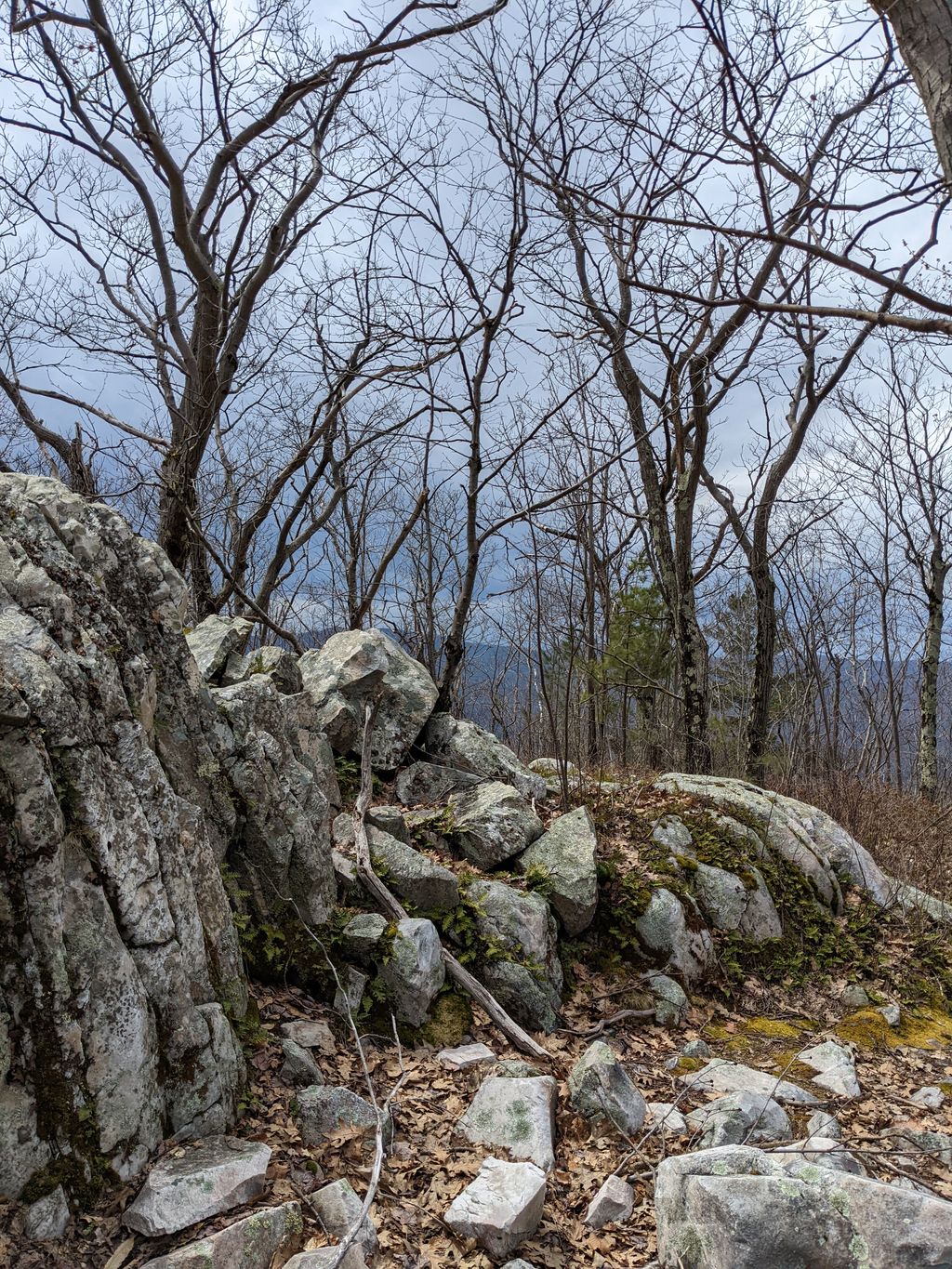 Pine-Cobble-Trailhead-1