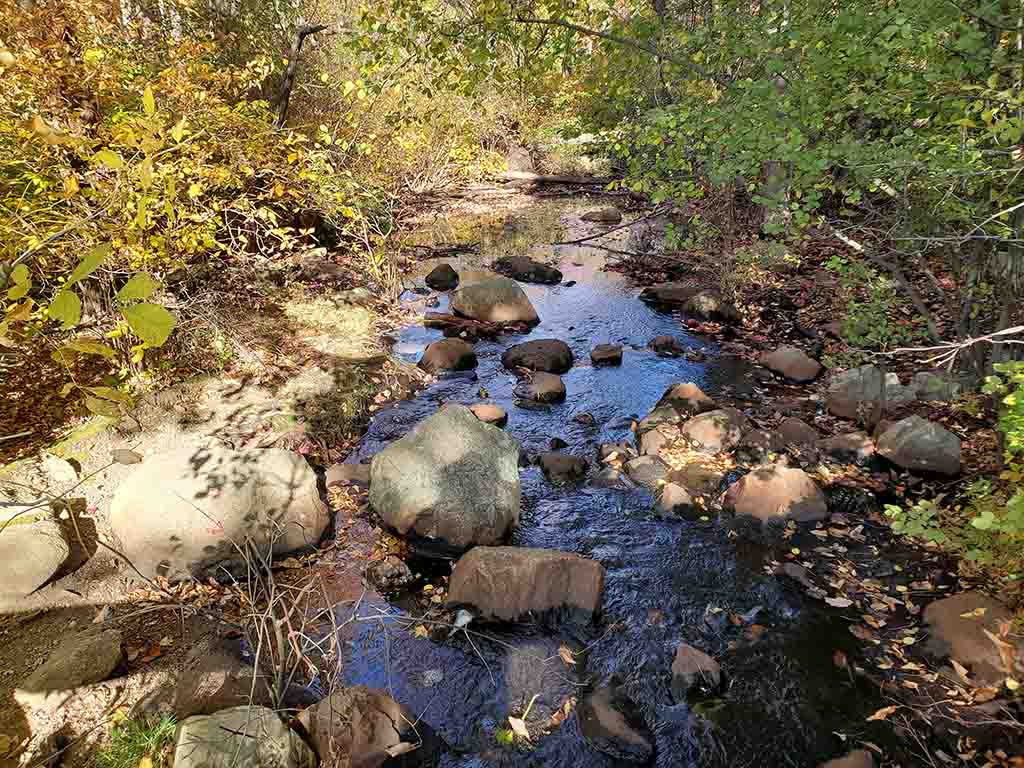 Pond Meadow Park