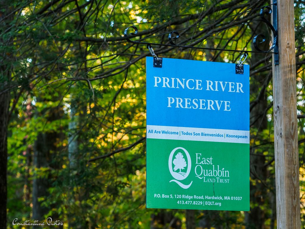 Prince-River-Preserve