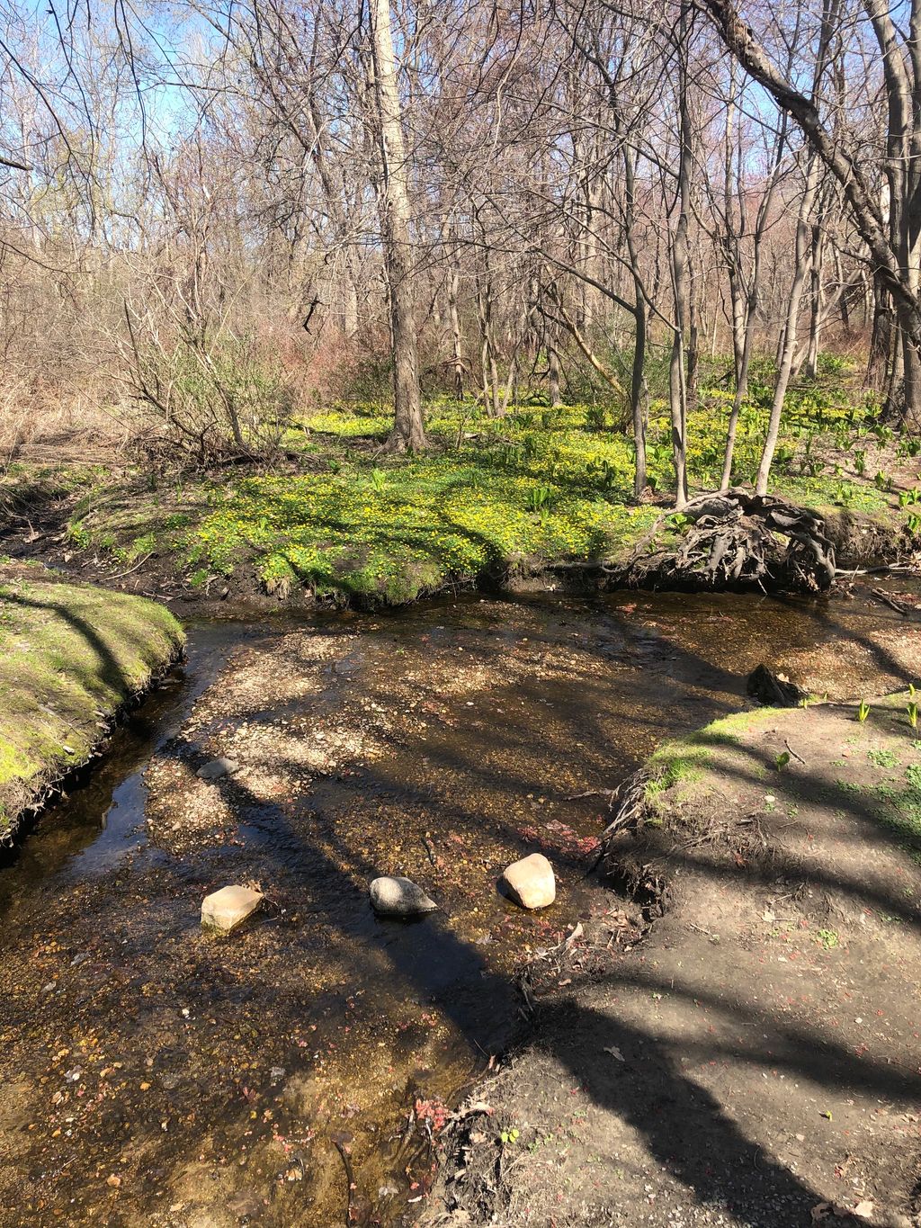 Public-Works-Parks-Forestry