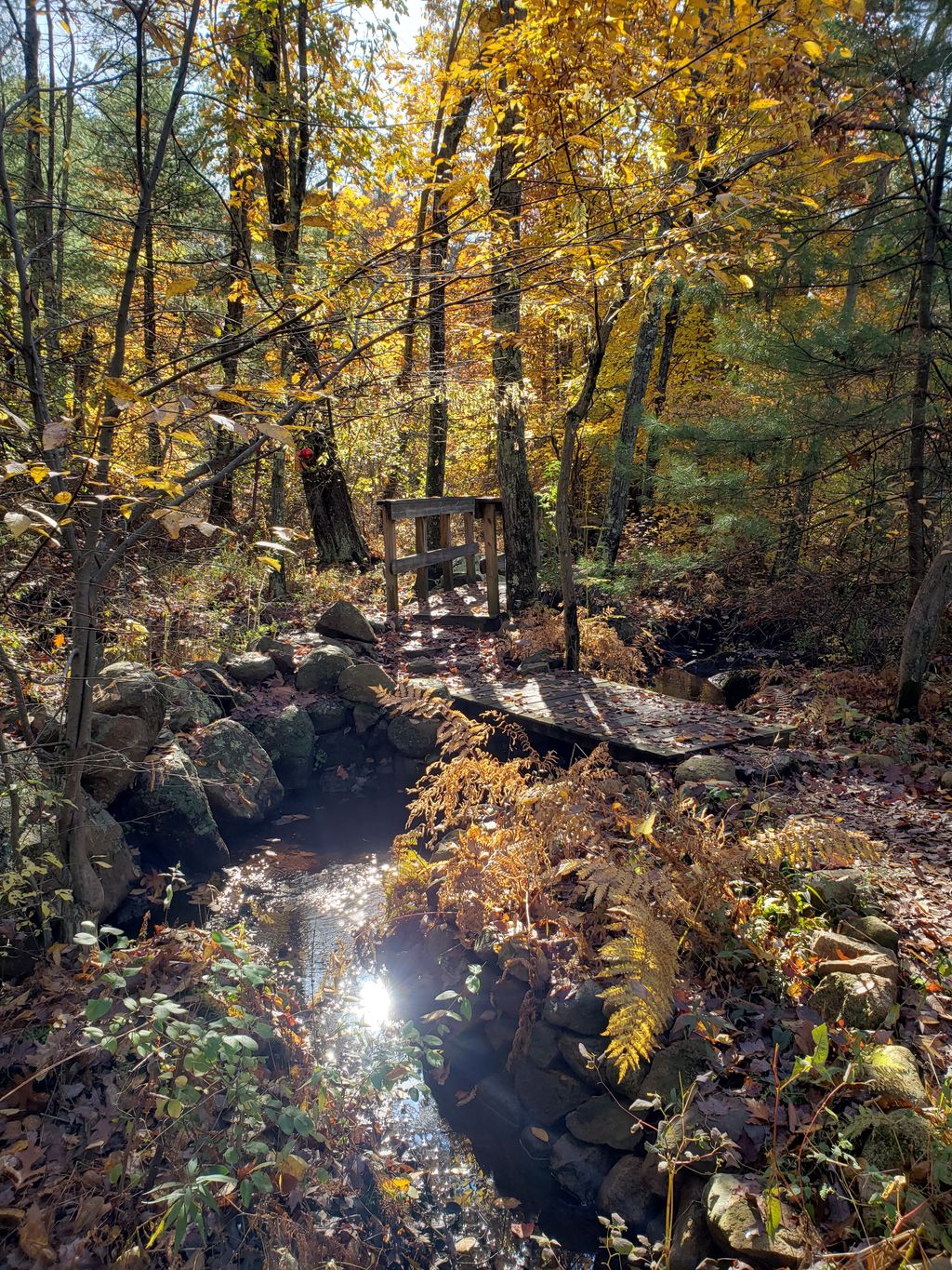 Rockland-Town-Forest-and-Conservation-Land