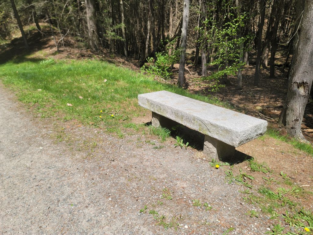 Rons-Memorial-Bench