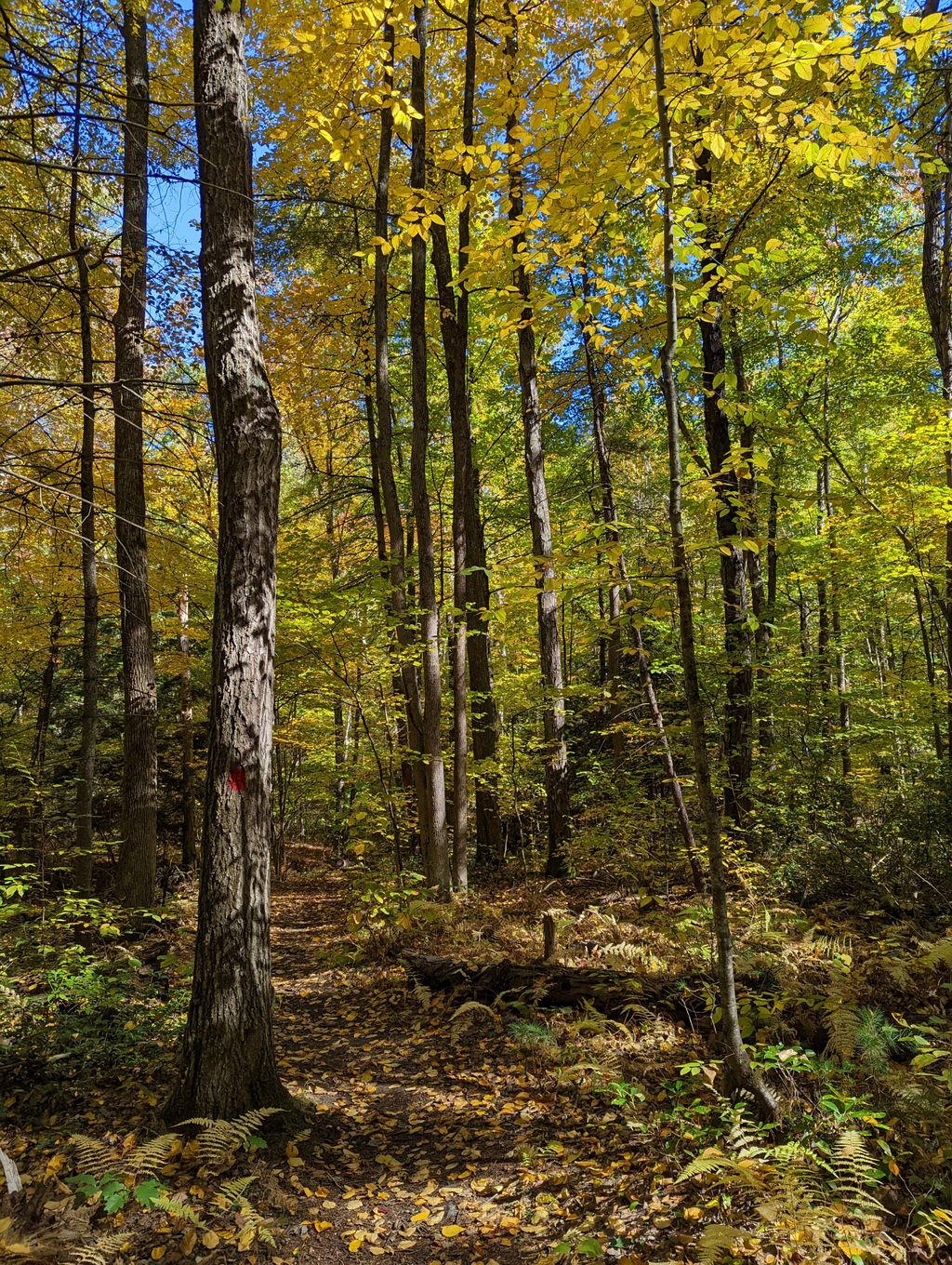 Sawmill-Hills-Conservation-Area-Sugarhouse-And-Main-Parking