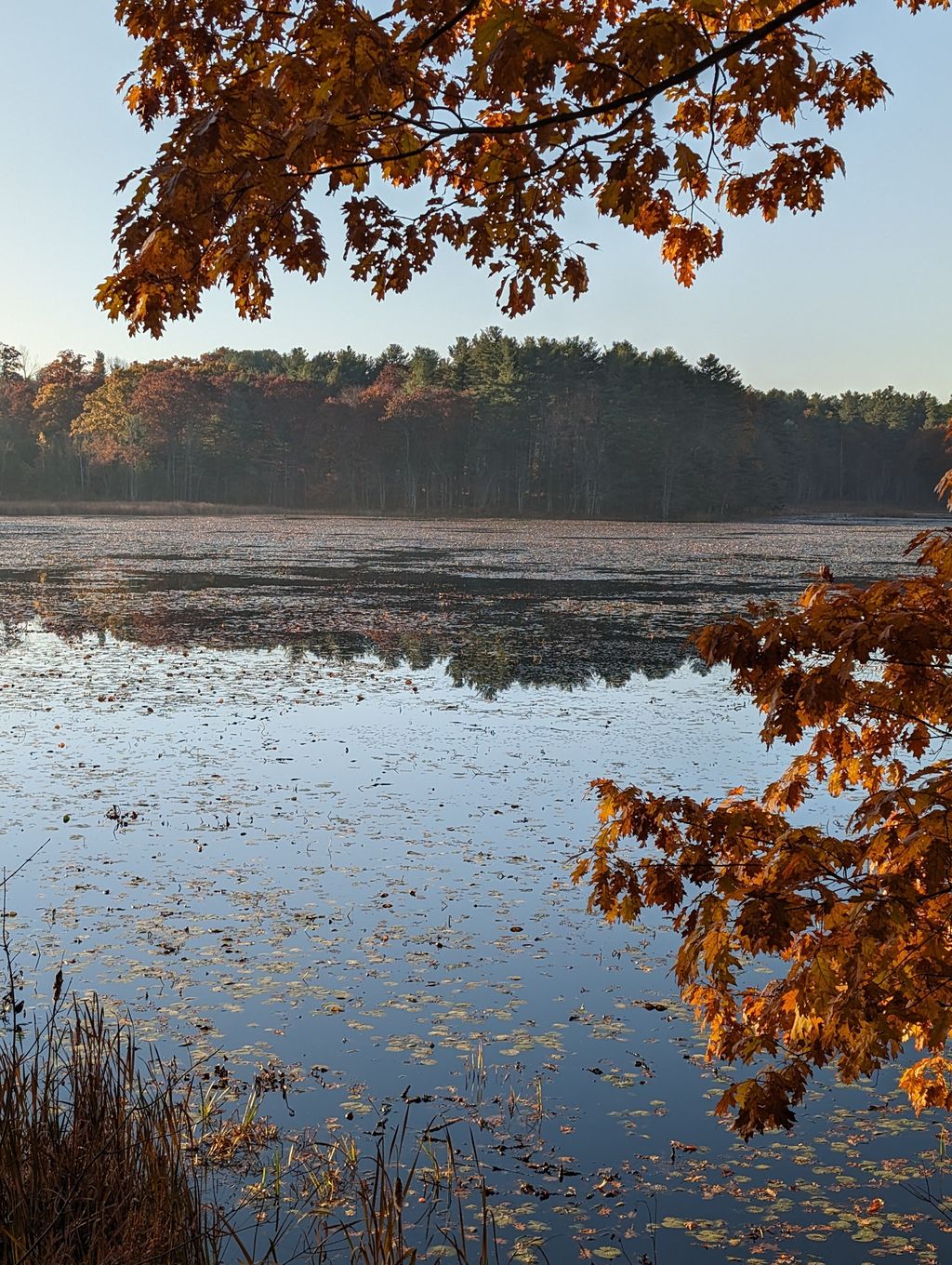 Thayer-Pond-Wildlife-Management-Area-1