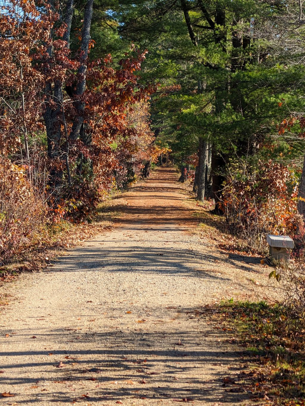 Thayer-Pond-Wildlife-Management-Area