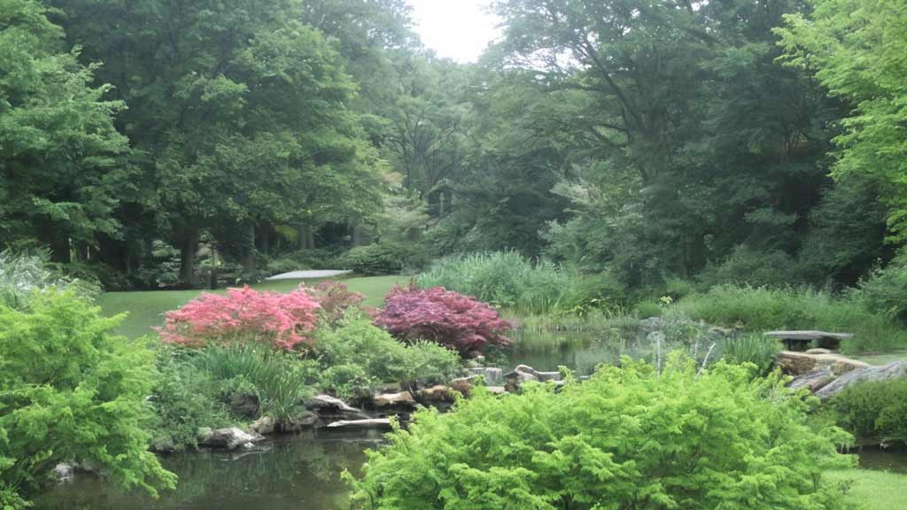 Babcock Arboretum