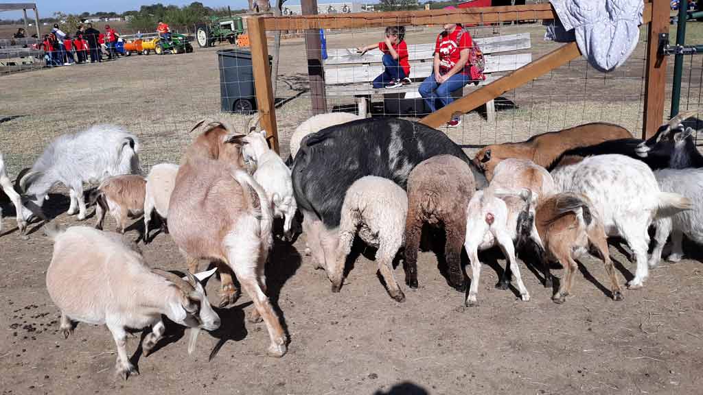 Countryside Critters Traveling Farm