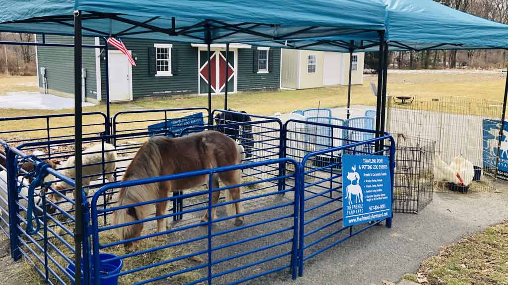 Farmyard Friends Mobile Petting Zoo