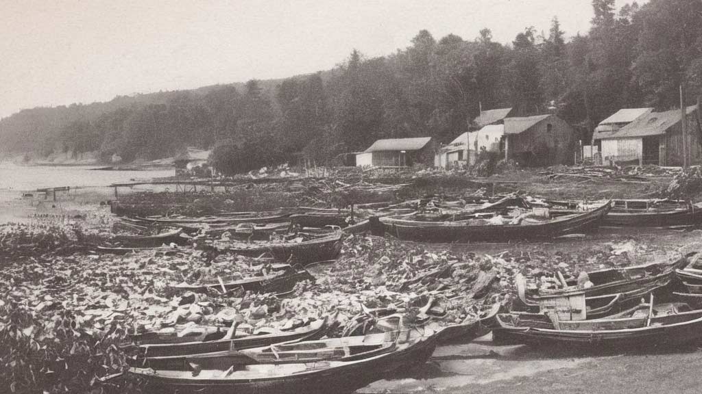 Fishing Village Origins 