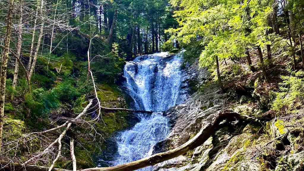 Tannery Falls