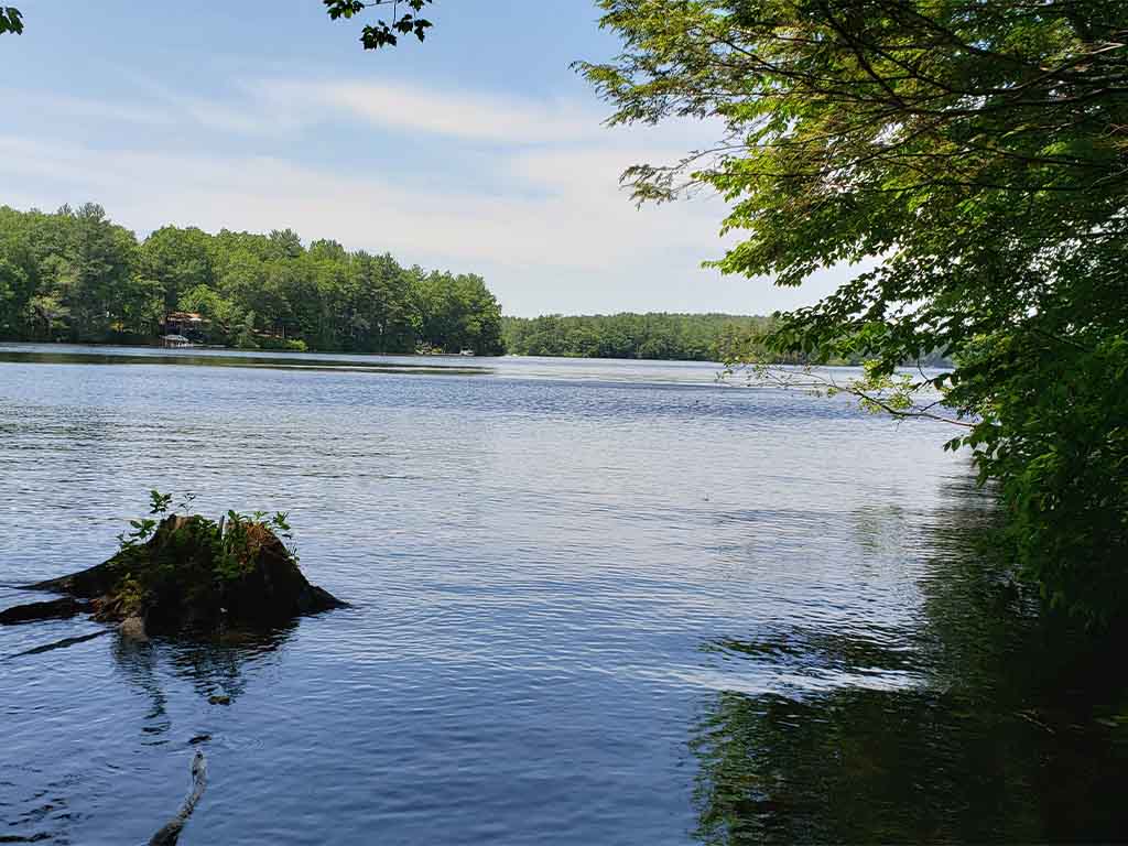  Thurston's Beach