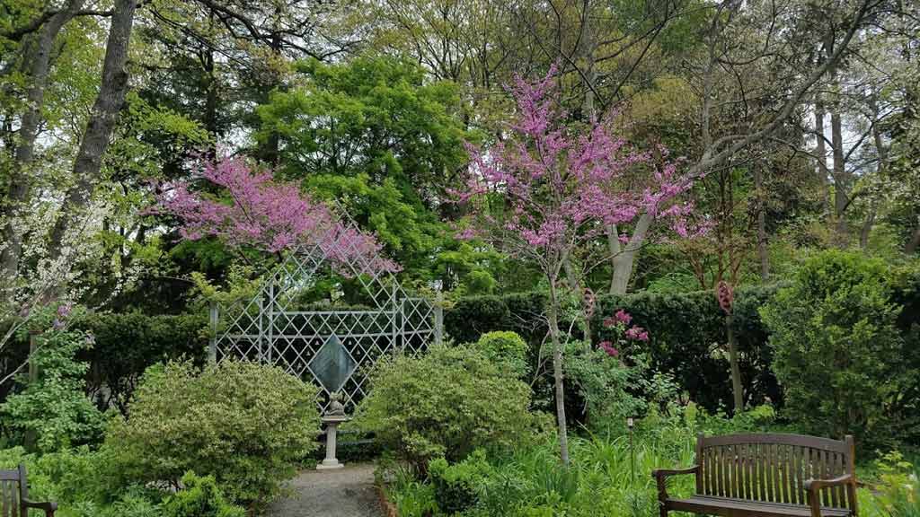 Wakefield Estate Arboretum