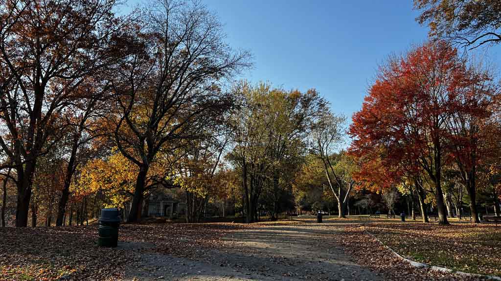 Blue Hills Reservation, Milton