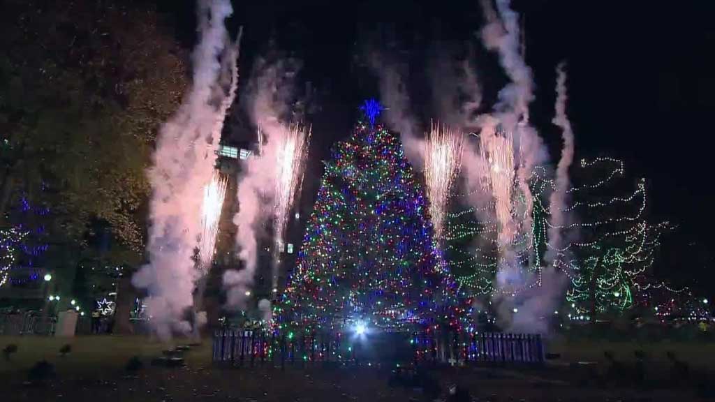 Boston Common Tree Lighting Ceremony