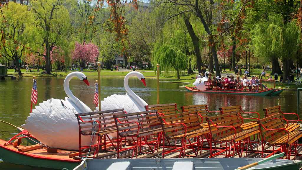 Boston Public Garden Swan Boats